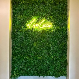 a wall of plants with a light