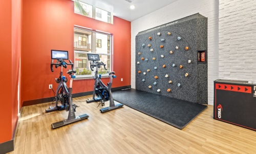 spin bikes and a rock climbing wall