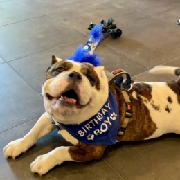 Instagram post from @lector85apts on June 16, 2022 20:17:18pm